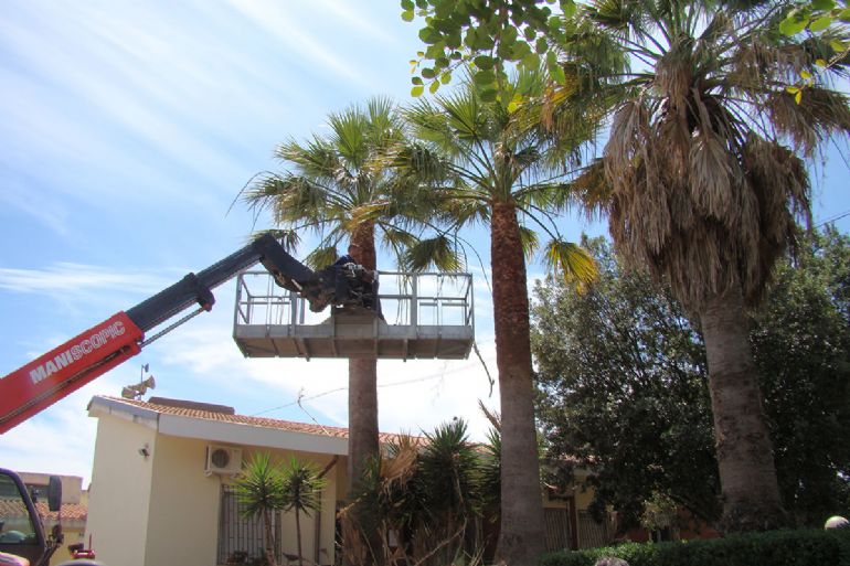 Lavori di potatura di alberi e siepi